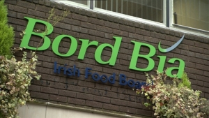 Bord Bia Marketing Support Package